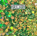 LadyleoASMR Chakra Collection Seaweed Glitter